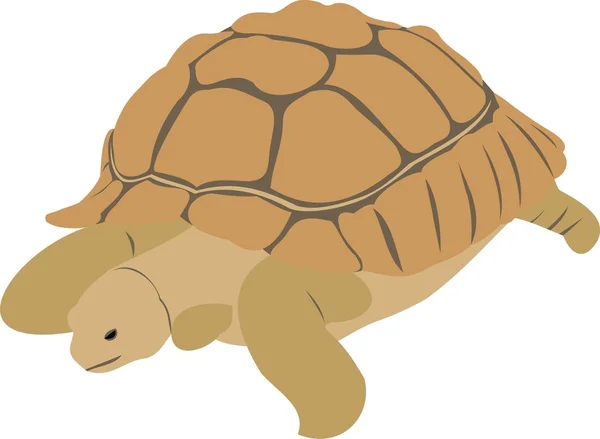 Die große Schildkröte — Stockvektor