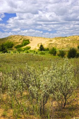 Sand dunes in Manitoba clipart