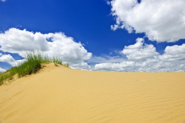 Desert landscape in Manitoba, Canada clipart