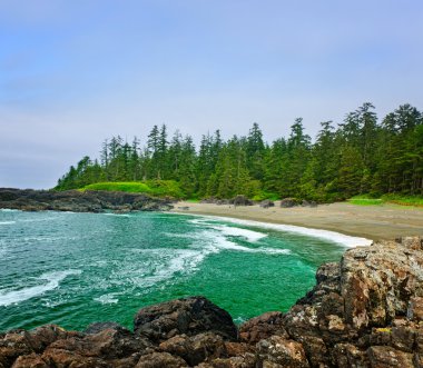 Coast of Pacific ocean in Canada clipart