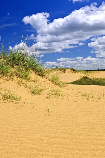 Wüstenlandschaft in Manitoba, Kanada — Stockfoto