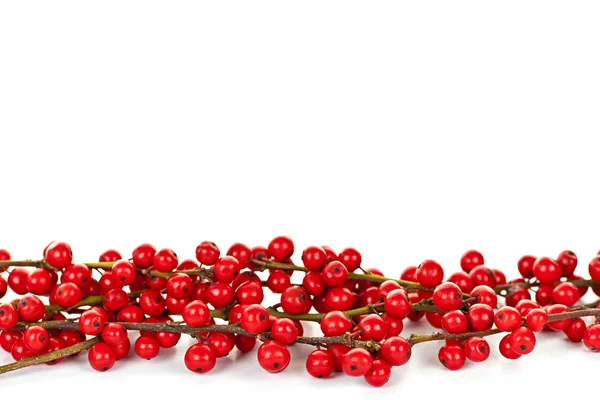Red Christmas berries border — Stock Photo, Image