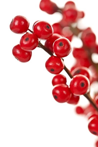 붉은 크리스마스 열매 — 스톡 사진