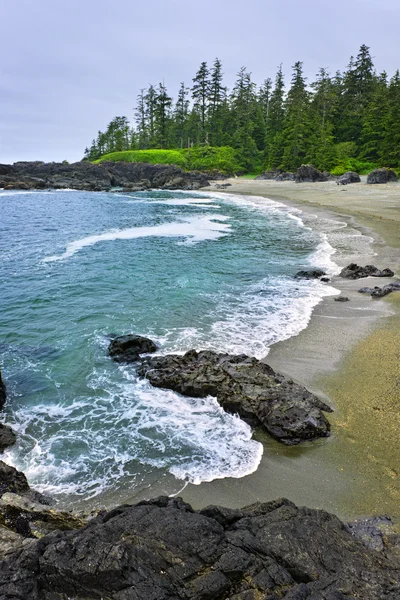 Coast of Pacific ocean in Canada — Stock Photo, Image