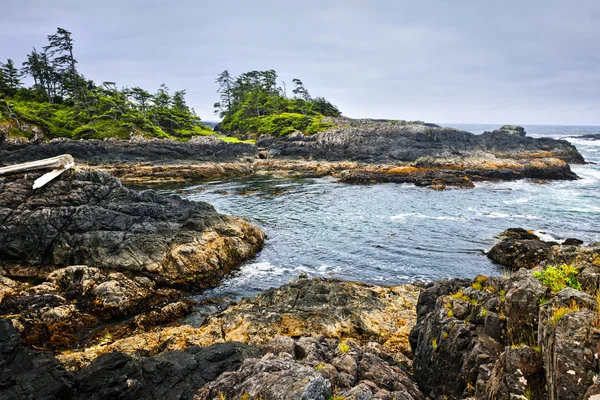 Kusten av Stilla havet, vancouver island, Kanada — Stockfoto