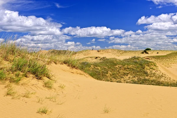 Woestijn landschap in manitoba, canada — Stockfoto