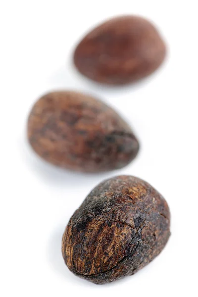 Shea nuts — Stock Photo, Image