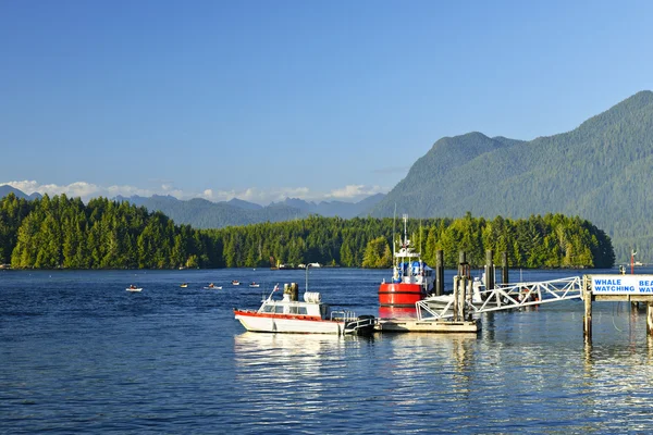 Barche attraccate a Tofino, Isola di Vancouver, Canada — Foto Stock