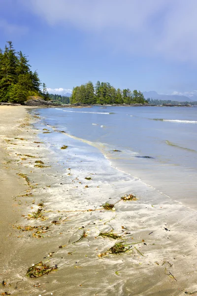 Costa del Océano Pacífico, Isla de Vancouver, Canadá — Foto de Stock