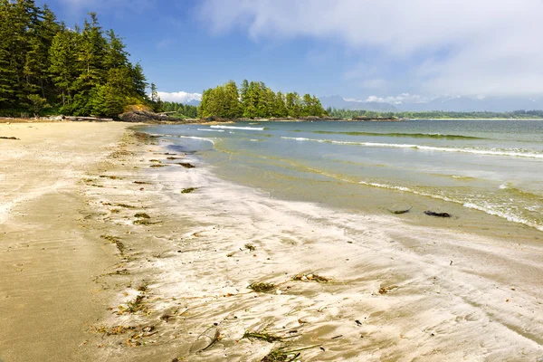 Kusten av Stilla havet, vancouver island, Kanada — Stockfoto