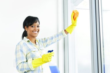 Smiling woman cleaning windows clipart