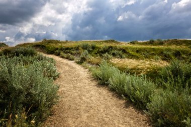 Trail in Badlands in Alberta, Canada clipart