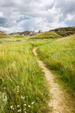 Trail in Badlands in Alberta, Canada clipart