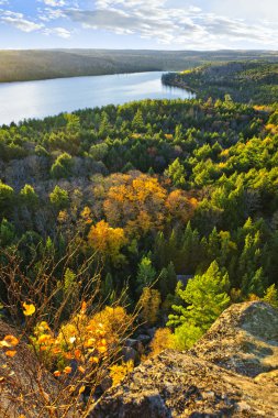 Fall forest and lake top view clipart