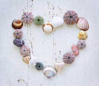 Heart of seashells and rocks clipart