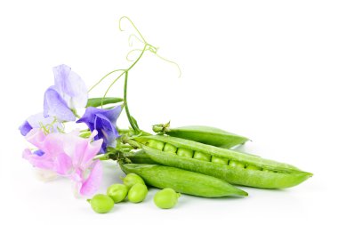 Pods of peas and sweet pea flowers clipart