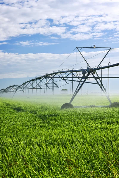 Impianti di irrigazione in campo agricolo — Foto Stock