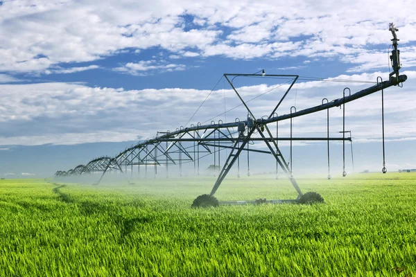 Matériel d'irrigation dans les champs agricoles — Photo