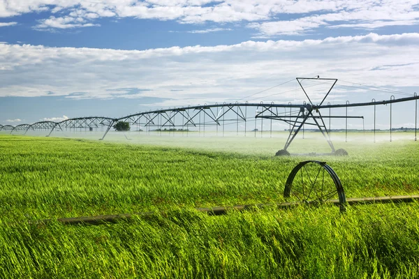 Equipamento de irrigação no campo agrícola — Fotografia de Stock