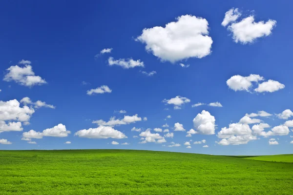 Yeşil mavi gökyüzü altında tepeler haddeleme — Stok fotoğraf