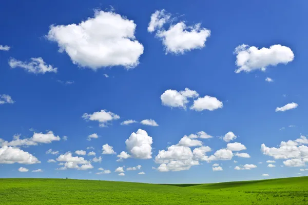 Yeşil mavi gökyüzü altında tepeler haddeleme — Stok fotoğraf