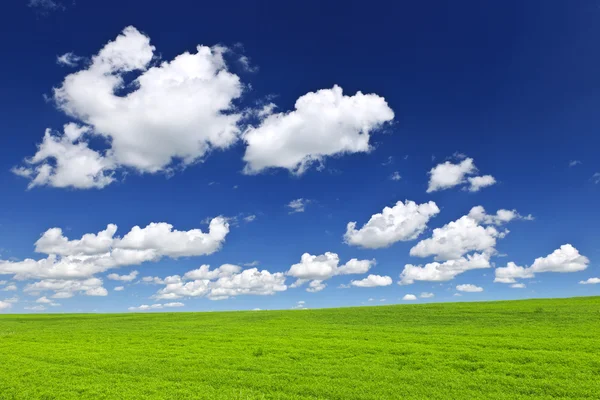 Green rolling hills under blue sky — Stock Photo, Image