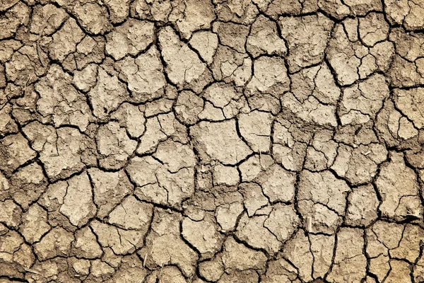 Sol fissuré sec pendant la sécheresse — Photo