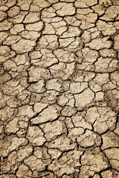 Tierra seca agrietada durante la sequía — Stockfoto