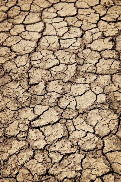 Dry cracked ground during drought
