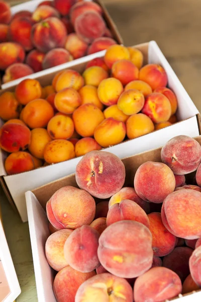 과일 판매 — 스톡 사진