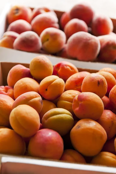 Fruit voor verkoop — Stockfoto