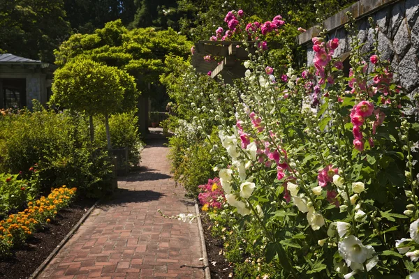 Barevná květinová zahrada — Stock fotografie