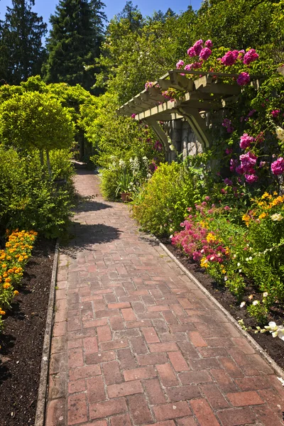 Цветочный сад с вымощенной дорожкой — стоковое фото