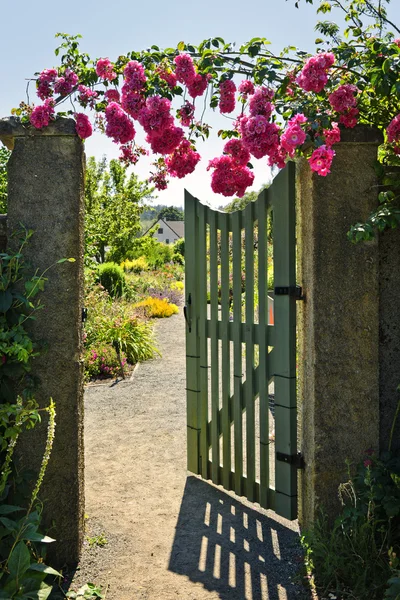 Portão de jardim aberto com rosas — Fotografia de Stock