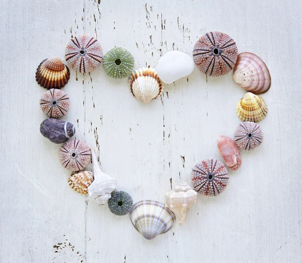 Corazón de conchas marinas y rocas — Foto de Stock