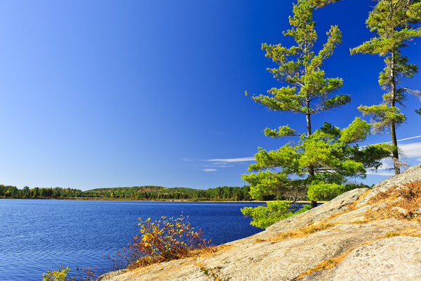 Lake shore in Ontario, Canada