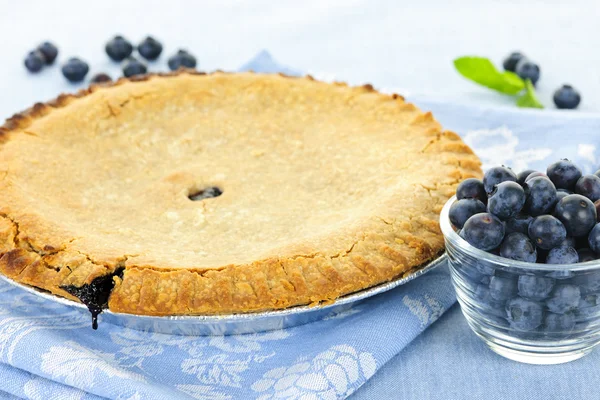 Bluberry pie — Zdjęcie stockowe