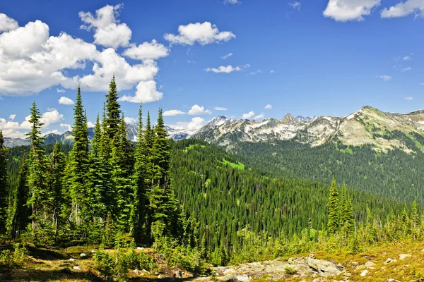 Skalista góra widok z góry revelstoke — Zdjęcie stockowe