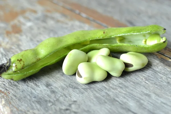 Fava Bean Opened — Stock Photo, Image