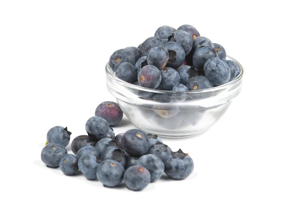 新鲜蓝莓，孤立在白色玻璃碗 图库图片