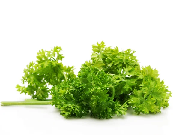 stock image Parsley