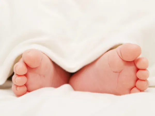 Baby feet Stock Image
