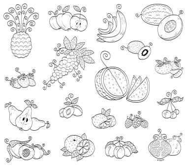 Doodle fruits, berries clipart