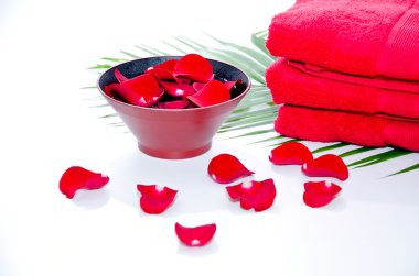 Spa arka çiçekleri