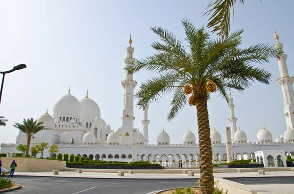 abu Dabi şehir'Şeyh zayed Camisi