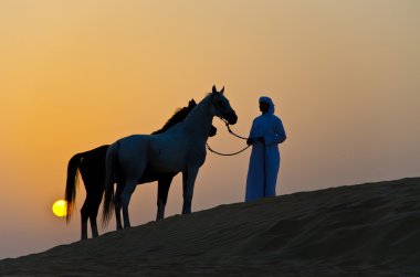 Arap adam Arap atı ile