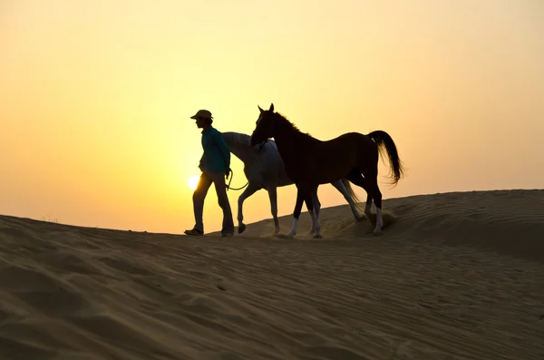 Арабский человек с арабской лошадью — стоковое фото