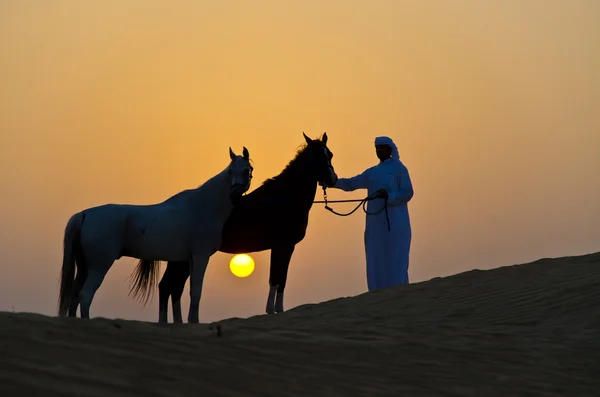 Homem árabe com cavalo árabe — Fotografia de Stock