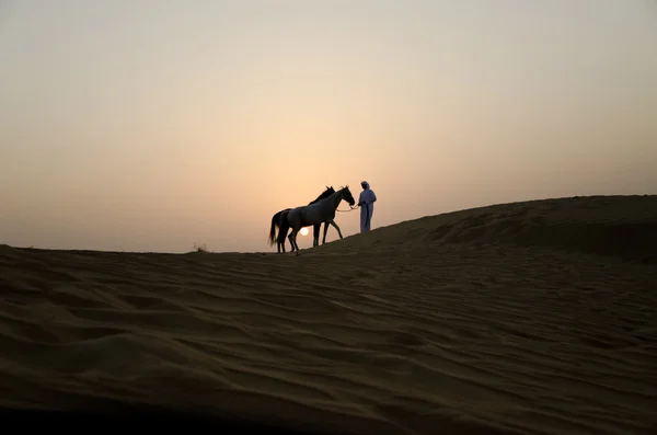 Araber mit arabischem Pferd — Stockfoto