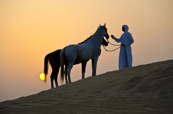 Uomo arabo con cavallo arabo — Foto Stock